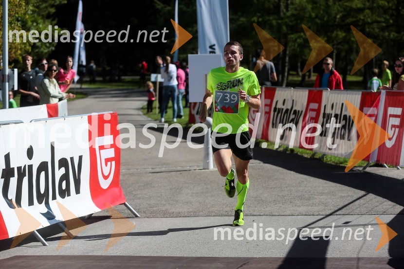 Vid Jakob Tršan (739)Triglav tek 2013