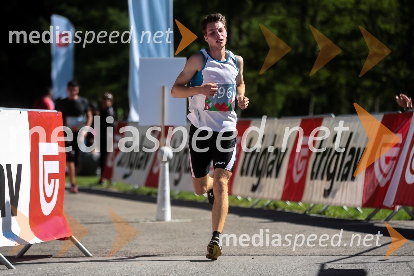 Jan Kramer (496)Triglav tek 2013