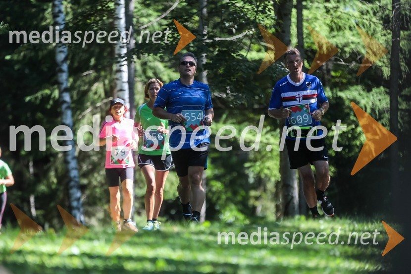 Damjan Rems (654); Peter Pevec (609)Triglav tek 2013