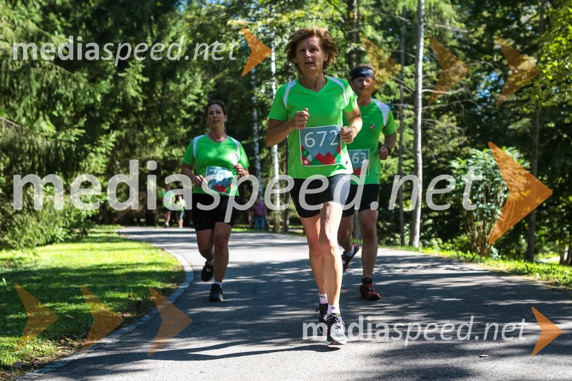 Bogdana Sedej (672)Triglav tek 2013
