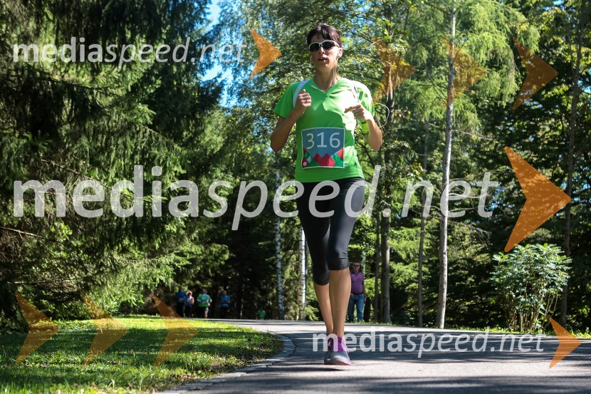 Alenka Bešter (316)Triglav tek 2013