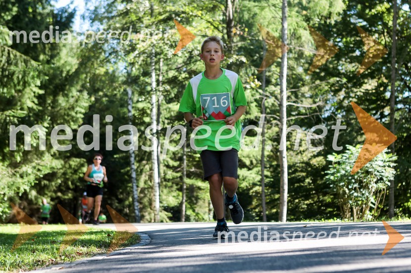 Anže Štrukelj (716)Triglav tek 2013