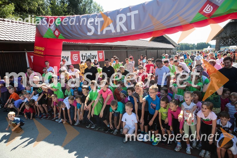 2. Triglav tekTriglav tek 2013