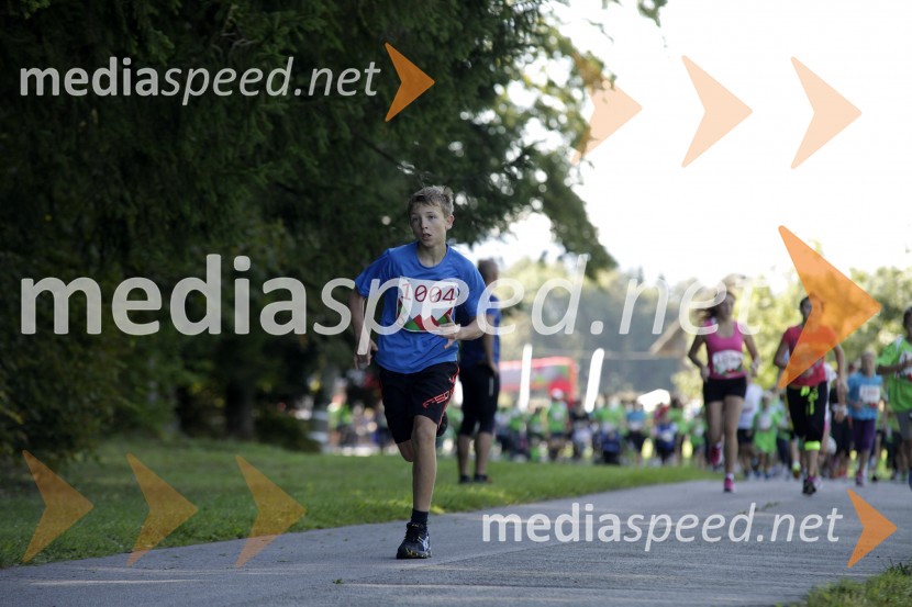 Gal Pavlič (1004)Triglav tek 2013