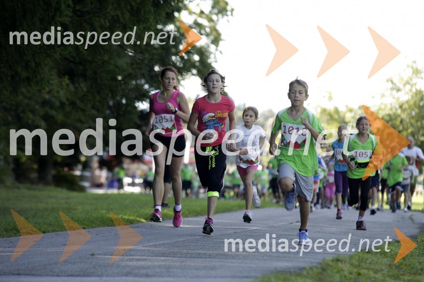 TekačiTriglav tek 2013