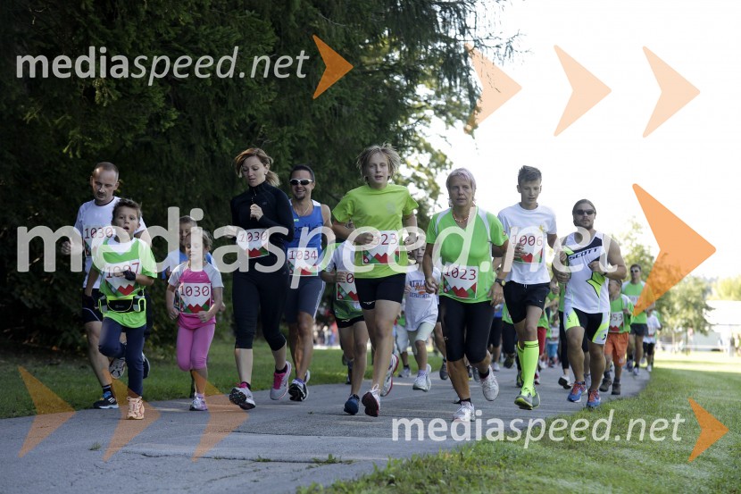 TekačiTriglav tek 2013