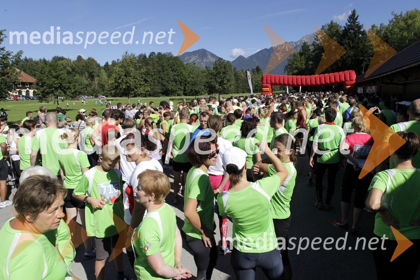 TekačiTriglav tek 2013