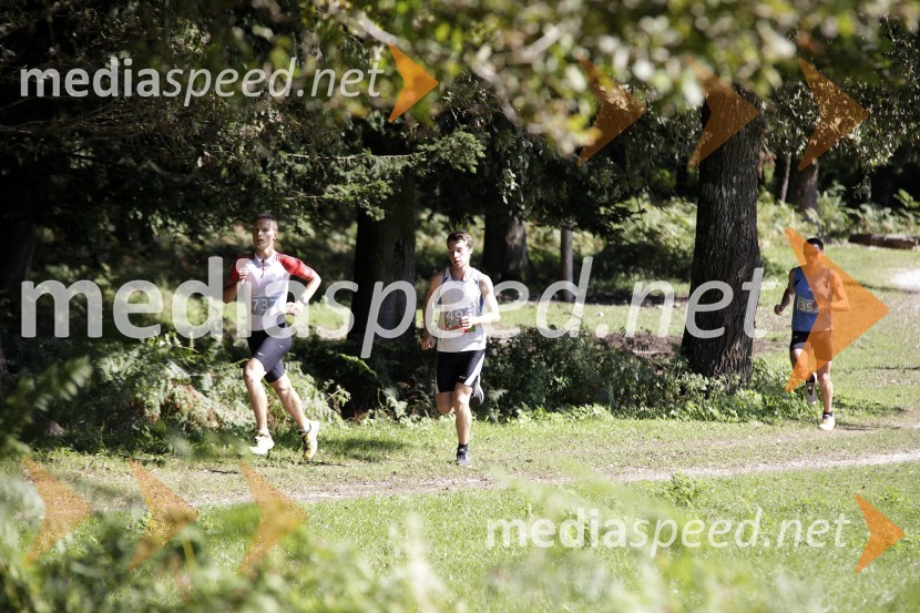 Žiga Trontelj (737);  Jan Kramer (496);  Denis Guzelj (399)Triglav tek 2013