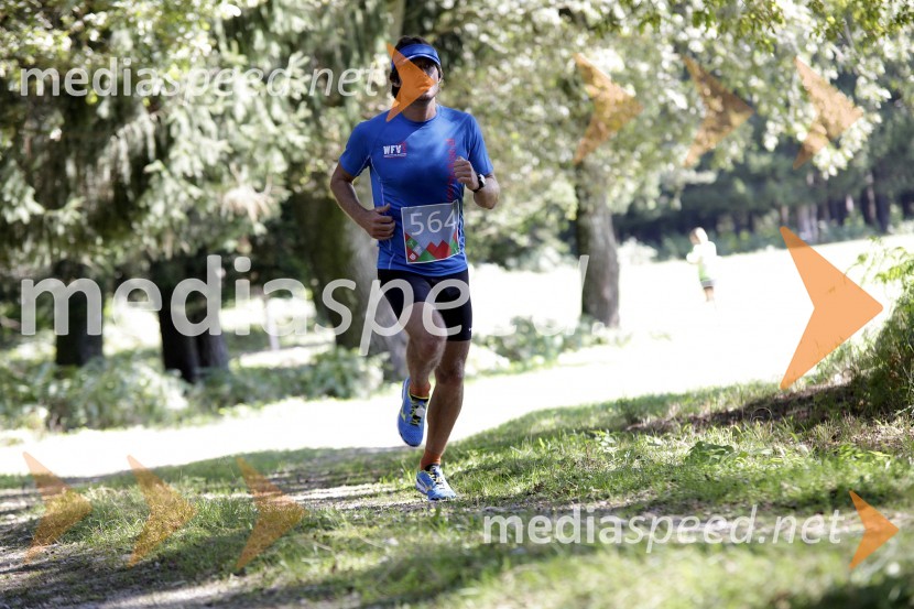 Dejan Kralj (564)Triglav tek 2013