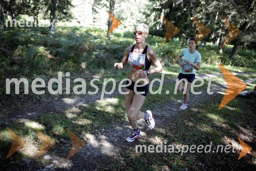 Brina Melanšek (547)Triglav tek 2013