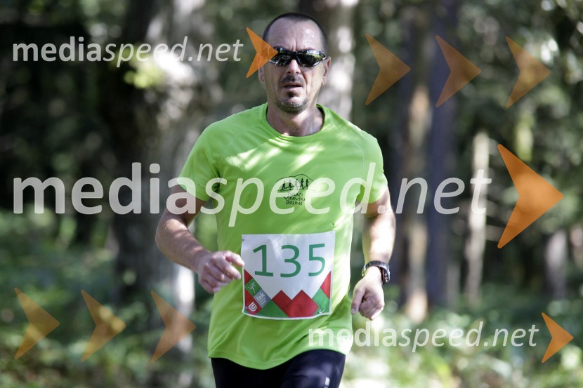 Andrej Zaman (135)Triglav tek 2013