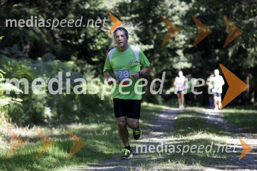 Ljubo Ivko (420)Triglav tek 2013