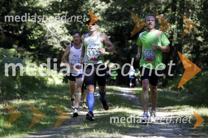 Tone Hribar Ihan (841); Brane Vrhovšek (132); Damijan Rifl (660)Triglav tek 2013