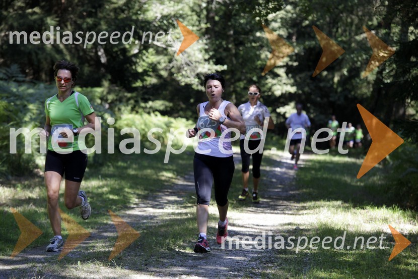 Urška Poltrini Bevk (625)Triglav tek 2013