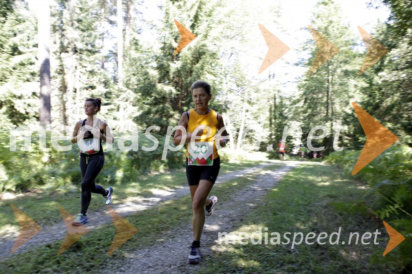 Milojka Čufer (20)Triglav tek 2013