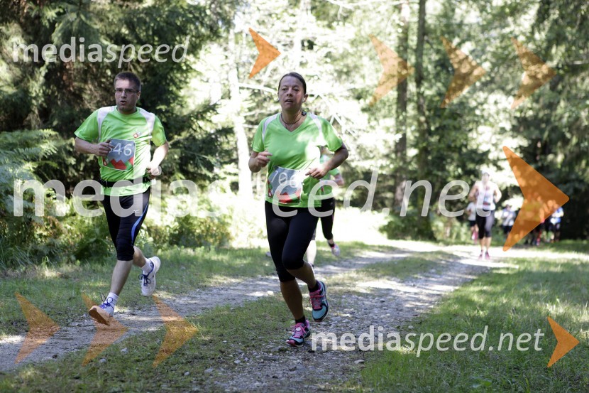 Alenka Seliškar (706)Triglav tek 2013