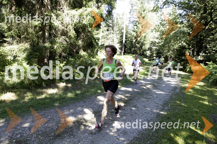 Vida Hafner (402)Triglav tek 2013