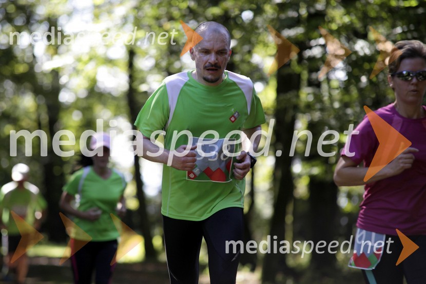 Roman Masten (538)Triglav tek 2013