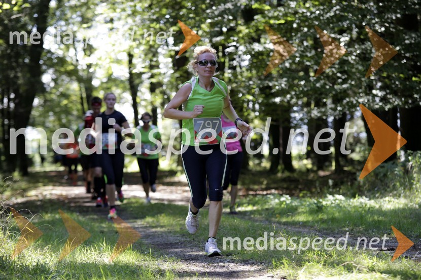 Karmen Zupan (797)Triglav tek 2013