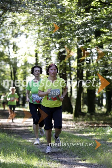 Marjana Pevec  (608)Triglav tek 2013