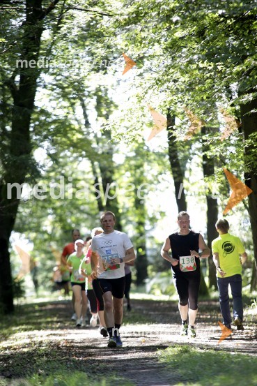 Miroslav Valjavec (755); Tadej Volčini (130)Triglav tek 2013