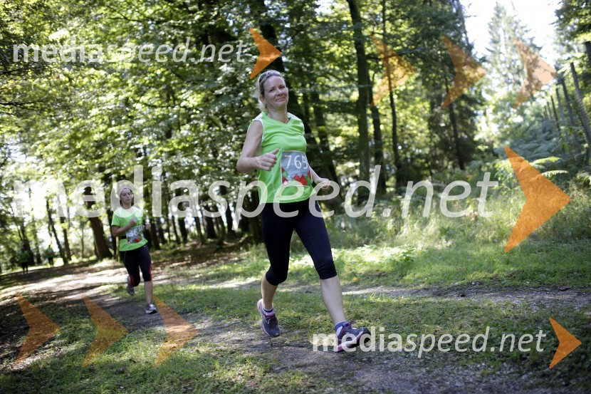 Danijela Viler (765)Triglav tek 2013