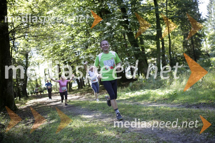 Aleksander Golob (387)Triglav tek 2013