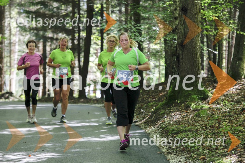 Saša Muzlovič (562)Triglav tek 2013