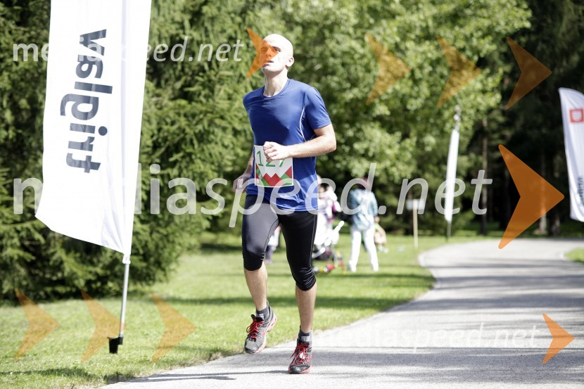 Janez Zupančič (127)Triglav tek 2013
