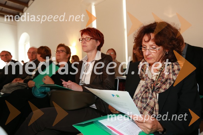 Trajnostna mobilnost v Ljubljanski urbani regiji, okrogla miza