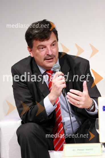 Dr. Peter Verlič, predsednik Koordinacijskega odbora za javni promet Ljubljanske urbane regijeTrajnostna mobilnost v Ljubljanski urbani regiji, okrogla miza