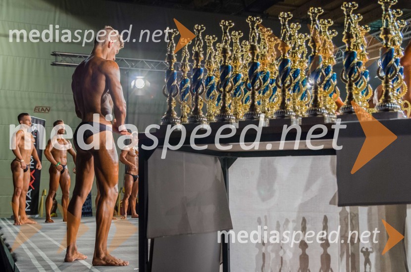Maxximum Open 2013: bikini, fitness in bodybuilding