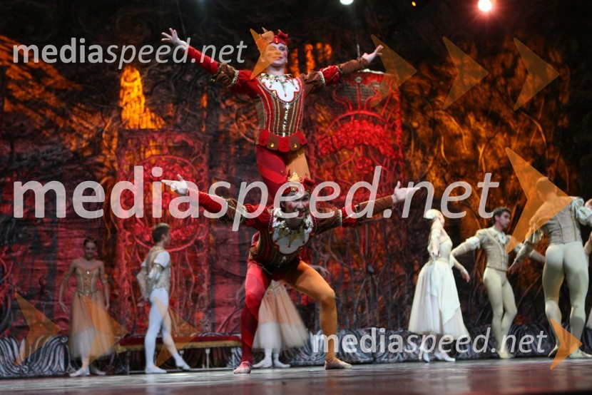 Člani kraljevskega baletaBaletna predstava Labodje jezero z baletniki Bolšoj teatra