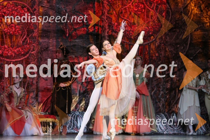 Člani kraljevskega baletaBaletna predstava Labodje jezero z baletniki Bolšoj teatra