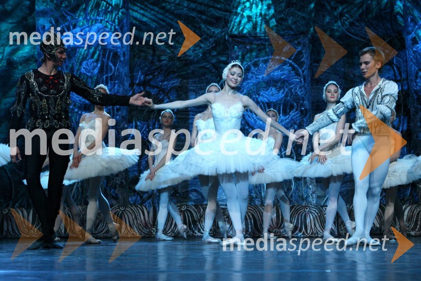 Člani kraljevskega baletaBaletna predstava Labodje jezero z baletniki Bolšoj teatra