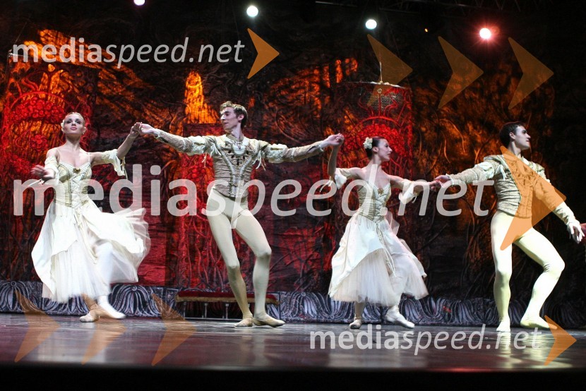 Člani kraljevskega baletaBaletna predstava Labodje jezero z baletniki Bolšoj teatra