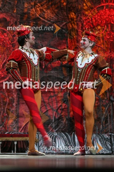 BaletnikaBaletna predstava Labodje jezero z baletniki Bolšoj teatra