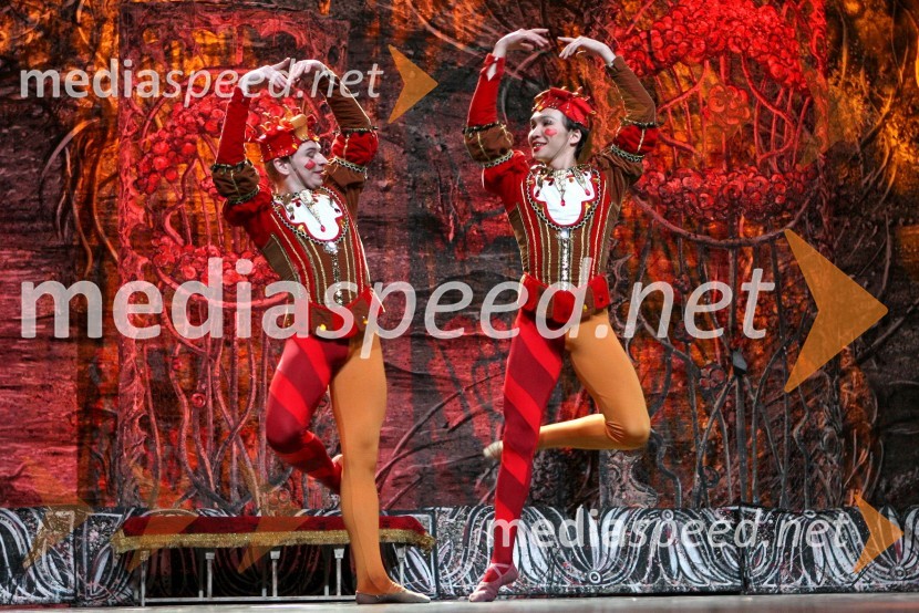 BaletnikaBaletna predstava Labodje jezero z baletniki Bolšoj teatra