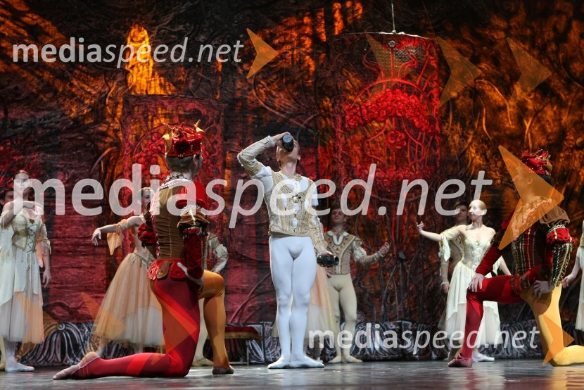 Člani kraljevskega baletaBaletna predstava Labodje jezero z baletniki Bolšoj teatra