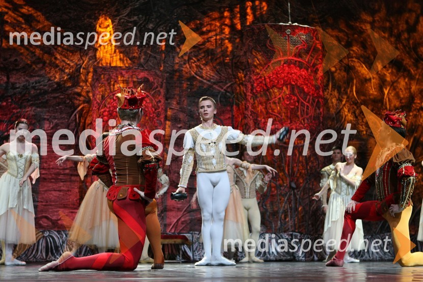 Člani kraljevskega baletaBaletna predstava Labodje jezero z baletniki Bolšoj teatra