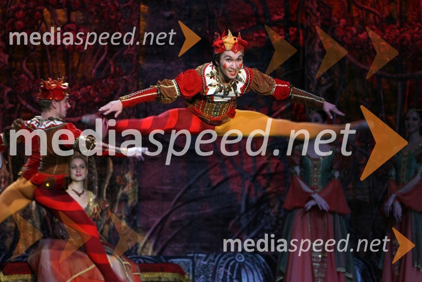 BaletnikBaletna predstava Labodje jezero z baletniki Bolšoj teatra