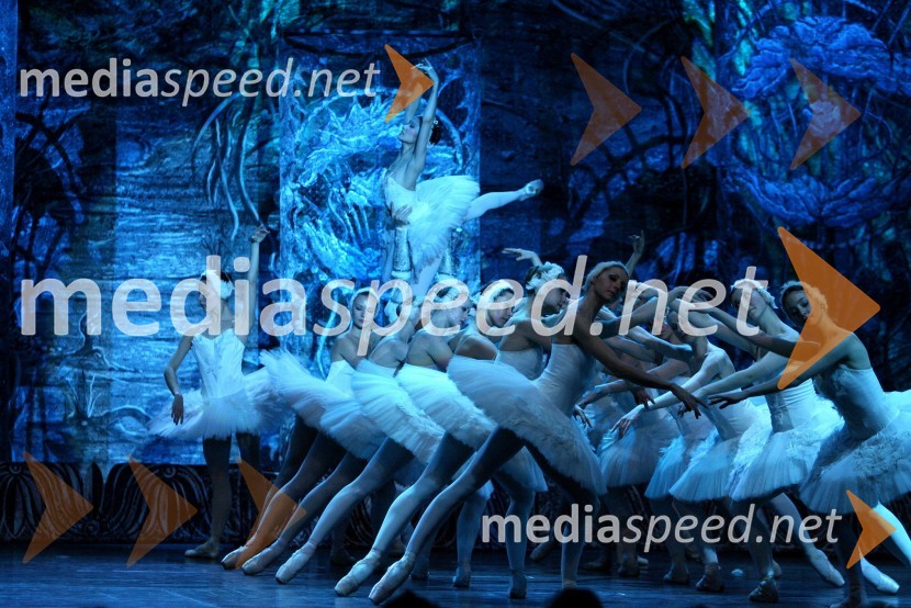 Člani kraljevskega baletaBaletna predstava Labodje jezero z baletniki Bolšoj teatra