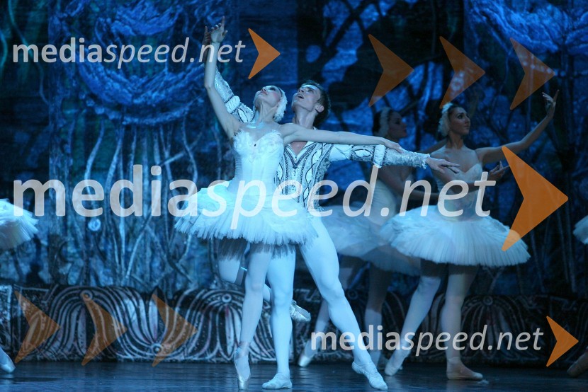 BaletnikaBaletna predstava Labodje jezero z baletniki Bolšoj teatra