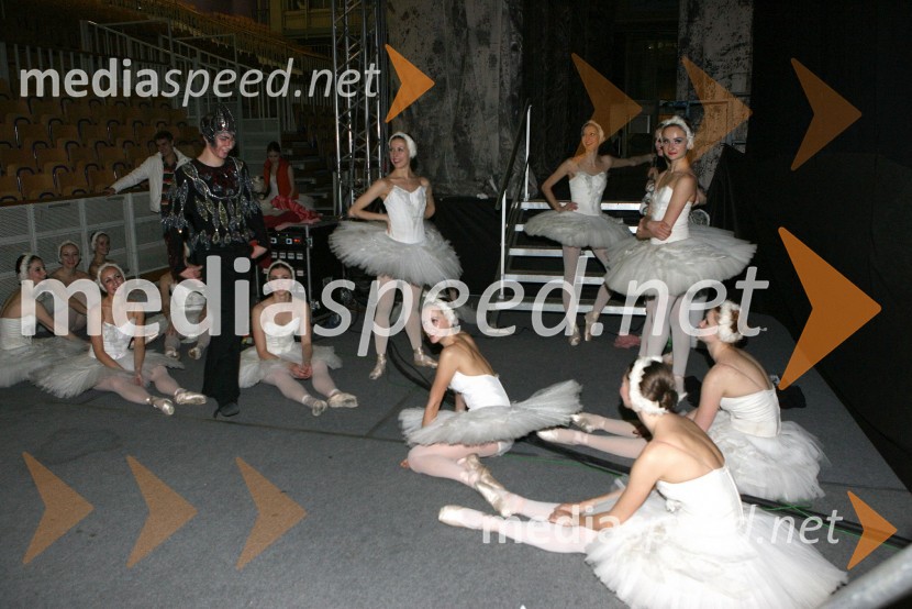 Člani kraljevskega baletaBaletna predstava Labodje jezero z baletniki Bolšoj teatra