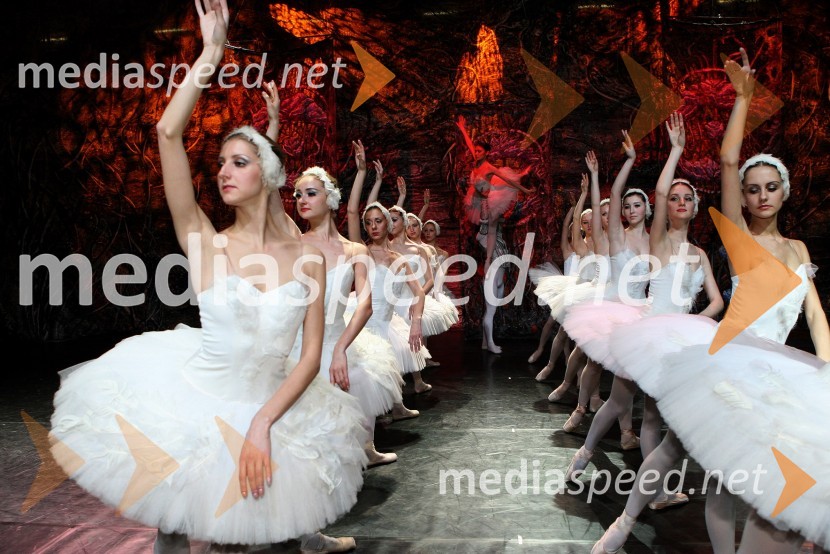 Člani kraljevskega baletaBaletna predstava Labodje jezero z baletniki Bolšoj teatra