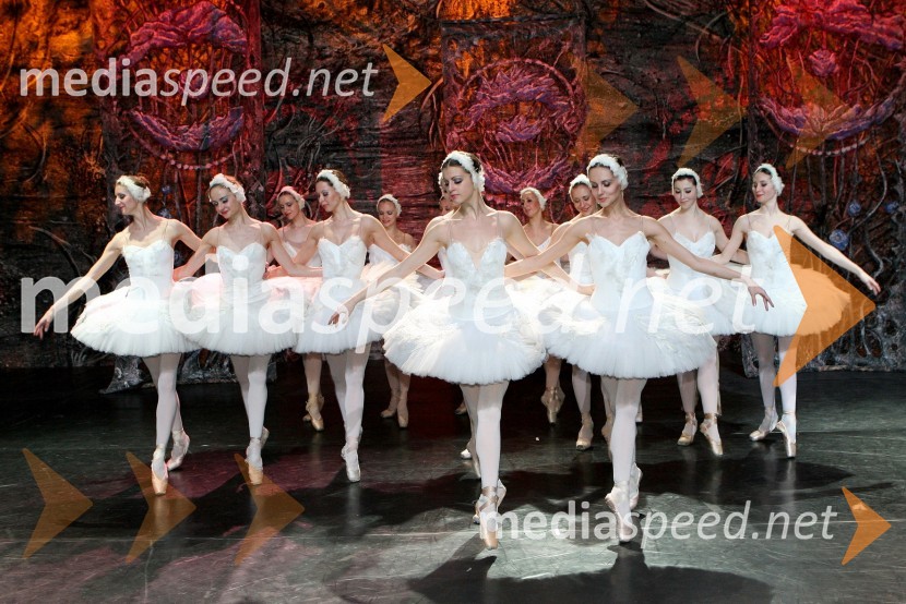 BalerineBaletna predstava Labodje jezero z baletniki Bolšoj teatra