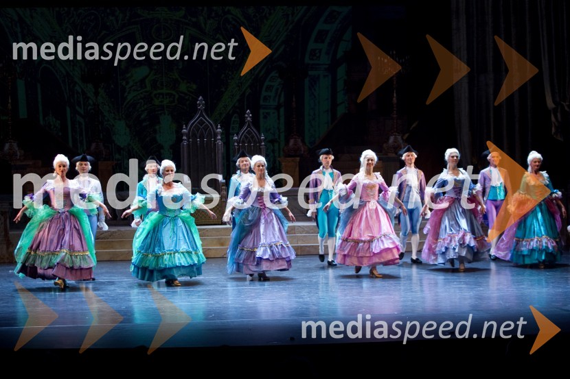 Trnuljčica, premiera predstaveTrnuljčica, premiera baleta