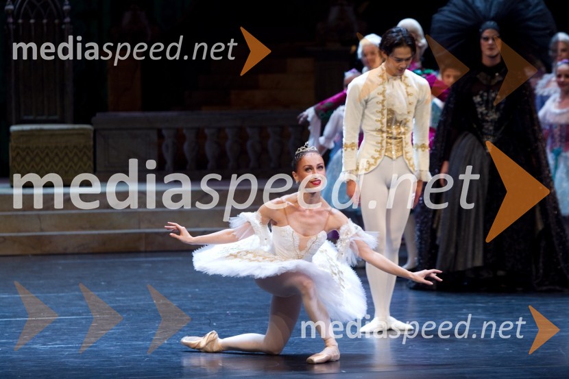 Tjaša Kmetec, baletkaTrnuljčica, premiera baleta