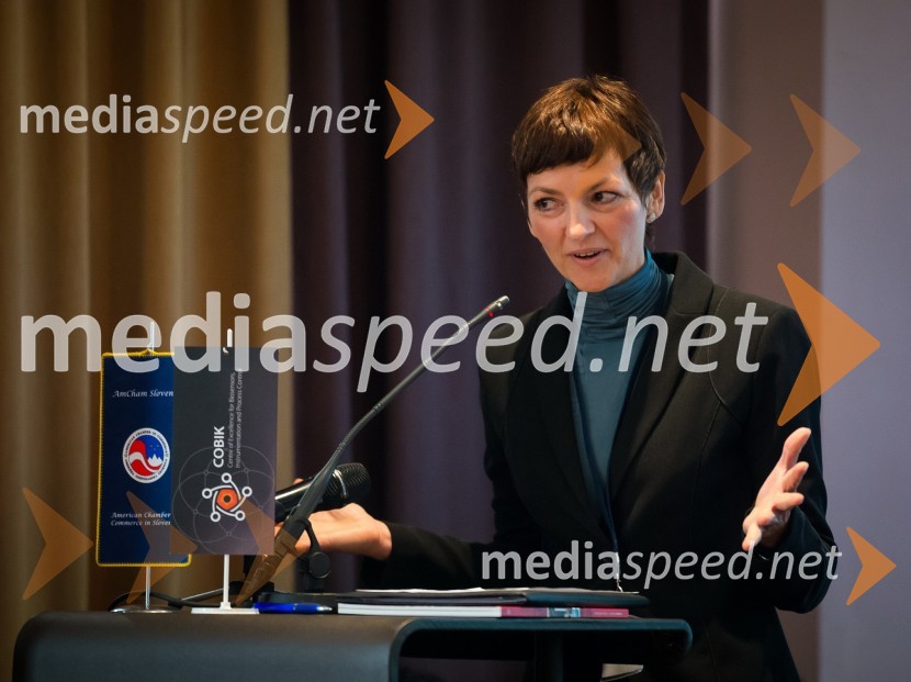 Dr. Maja Makovec Brenčič, prodekanja za razvoj na Ekonomski fakulteti v LjubljaniU.S. – Slovenia Business Bridge, razvojna in investicijska konferenca, prvi dan