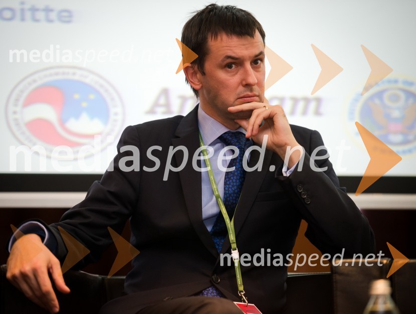 Mag. Mitja Mavko, državni sekretar, Ministrstvo za financeU.S. – Slovenia Business Bridge, razvojna in investicijska konferenca, prvi dan